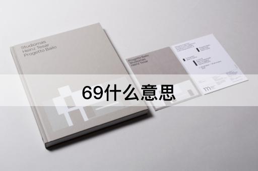69什么意思