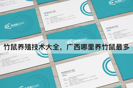 竹鼠养殖技术大全，广西哪里养竹鼠最多