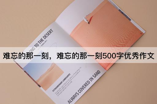 难忘的那一刻，难忘的那一刻500字优秀作文