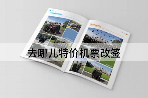 去哪儿特价机票改签
