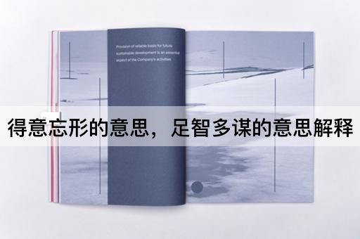 得意忘形的意思，足智多谋的意思解释