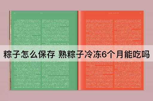 粽子怎么保存 熟粽子冷冻6个月能吃吗