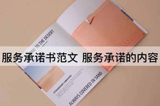 服务承诺书范文 服务承诺的内容