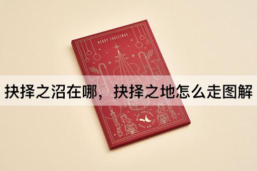 抉择之沼在哪，抉择之地怎么走图解