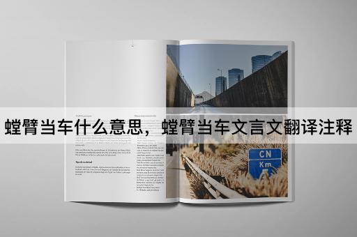 螳臂当车什么意思，螳臂当车文言文翻译注释