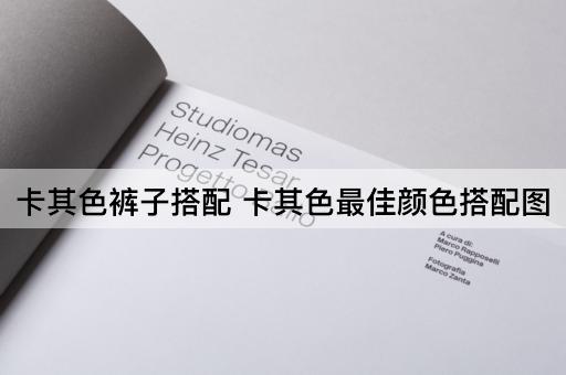 卡其色裤子搭配 卡其色最佳颜色搭配图