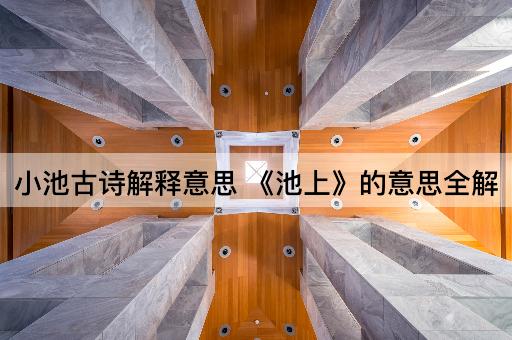 小池古诗解释意思 《池上》的意思全解