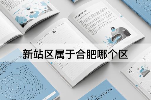 新站区属于合肥哪个区