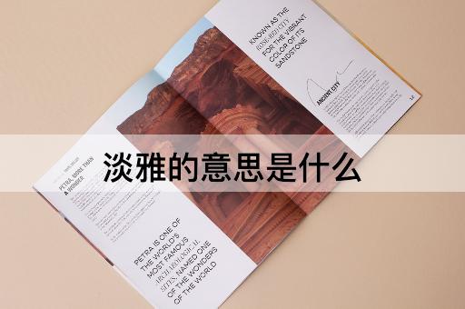 淡雅的意思是什么