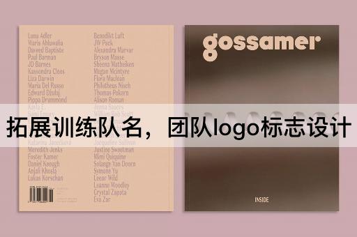 拓展训练队名，团队logo标志设计