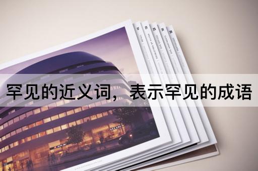 罕见的近义词，表示罕见的成语