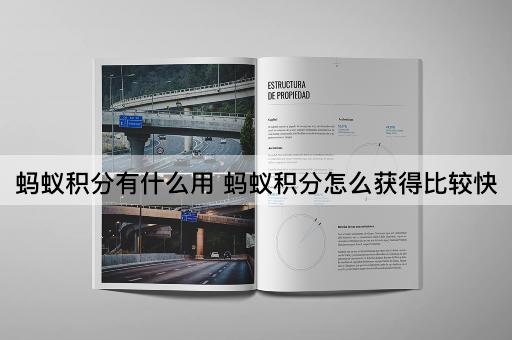蚂蚁积分有什么用 蚂蚁积分怎么获得比较快