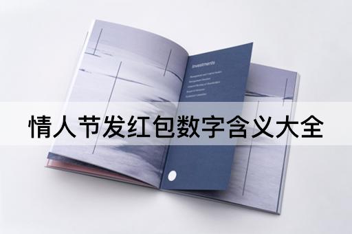情人节发红包数字含义大全