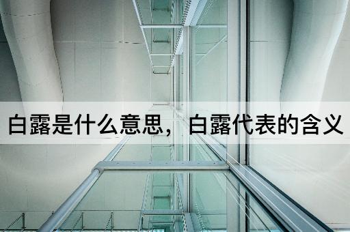 白露是什么意思，白露代表的含义