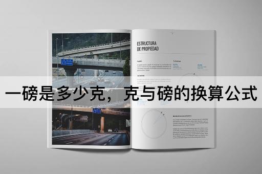 一磅是多少克，克与磅的换算公式