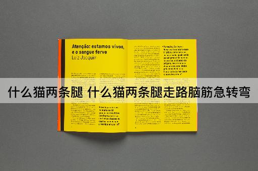 什么猫两条腿 什么猫两条腿走路脑筋急转弯