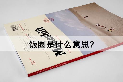 饭圈是什么意思?