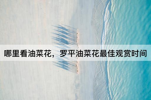 哪里看油菜花，罗平油菜花最佳观赏时间