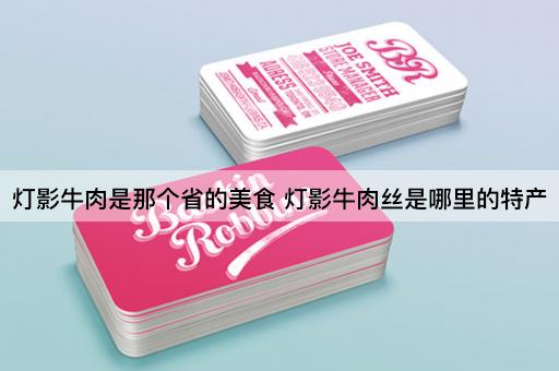 灯影牛肉是那个省的美食 灯影牛肉丝是哪里的特产