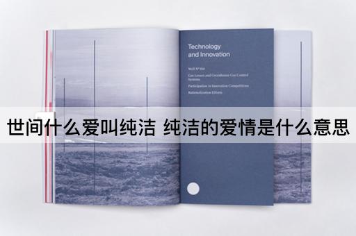 世间什么爱叫纯洁 纯洁的爱情是什么意思