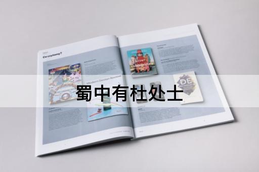 蜀中有杜处士