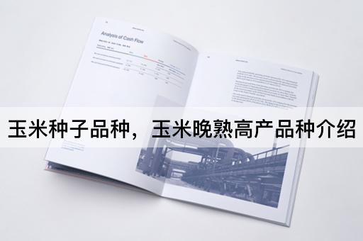 玉米种子品种，玉米晚熟高产品种介绍