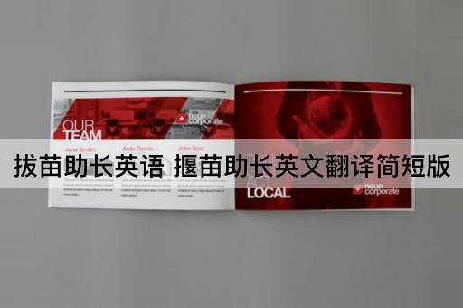 拔苗助长英语 揠苗助长英文翻译简短版
