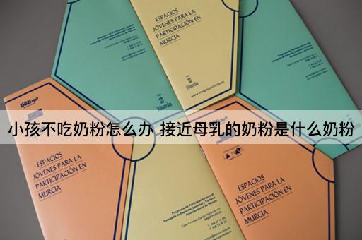小孩不吃奶粉怎么办 接近母乳的奶粉是什么奶粉