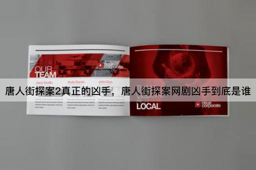 唐人街探案2真正的凶手，唐人街探案网剧凶手到底是谁
