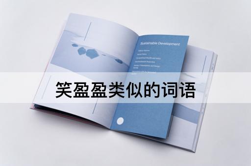 笑盈盈类似的词语