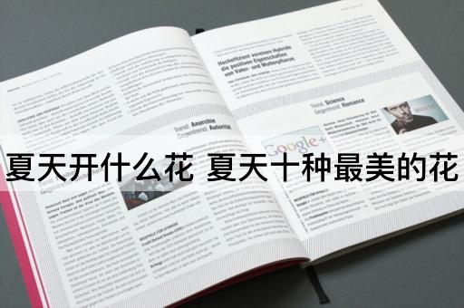 夏天开什么花 夏天十种最美的花