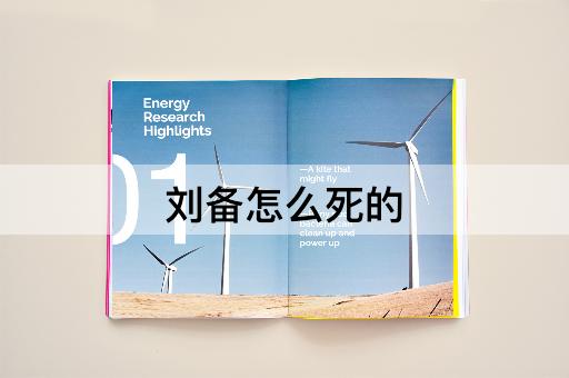 刘备怎么死的
