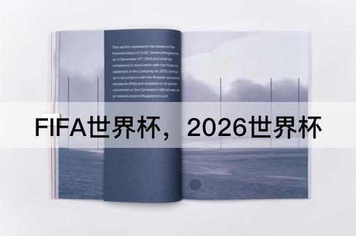 FIFA世界杯，2026世界杯