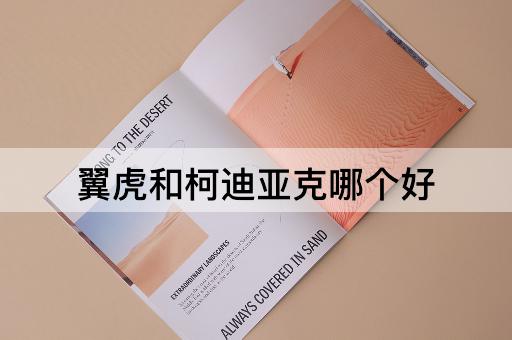 翼虎和柯迪亚克哪个好
