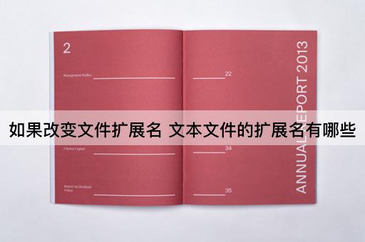 如果改变文件扩展名 文本文件的扩展名有哪些