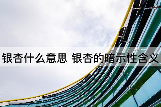 银杏什么意思 银杏的暗示性含义