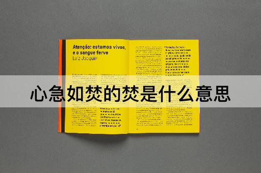心急如焚的焚是什么意思