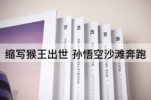缩写猴王出世 孙悟空沙滩奔跑