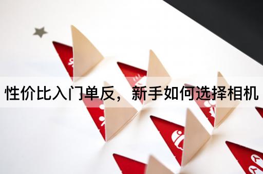 性价比入门单反，新手如何选择相机