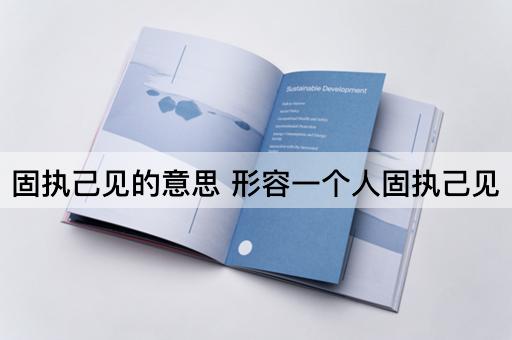固执己见的意思 形容一个人固执己见