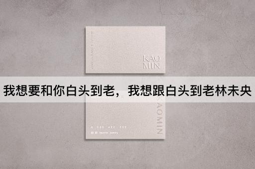 我想要和你白头到老，我想跟白头到老林未央