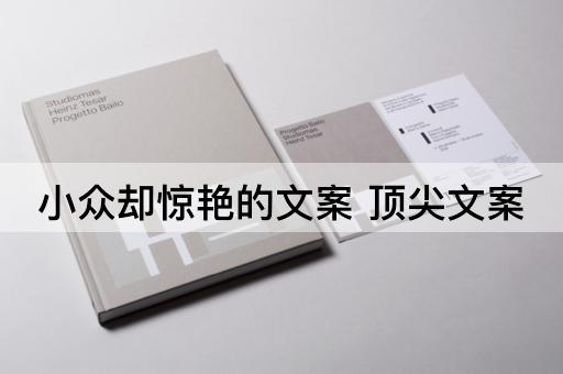 小众却惊艳的文案 顶尖文案