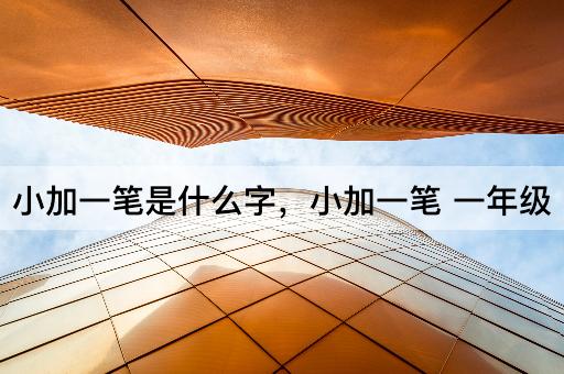 小加一笔是什么字，小加一笔 一年级