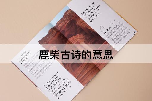 鹿柴古诗的意思