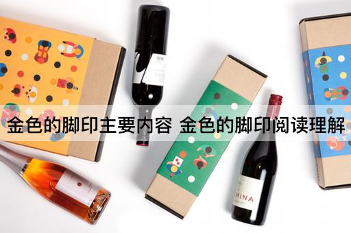 金色的脚印主要内容 金色的脚印阅读理解