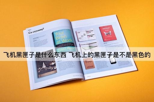 飞机黑匣子是什么东西 飞机上的黑匣子是不是黑色的
