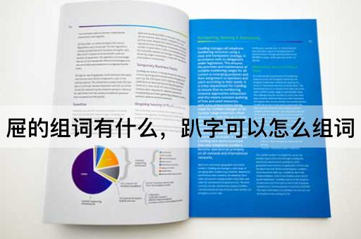 屉的组词有什么，趴字可以怎么组词