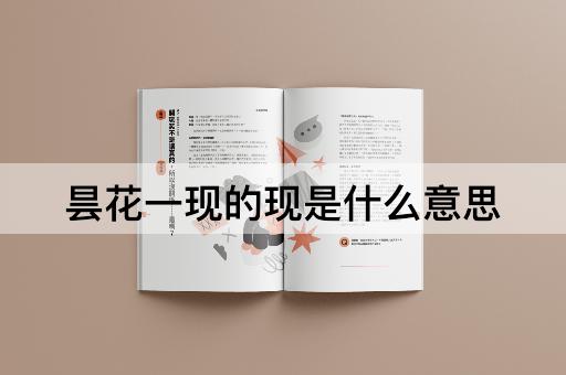 昙花一现的现是什么意思