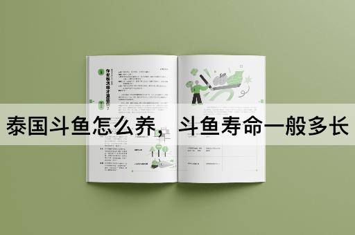 泰国斗鱼怎么养，斗鱼寿命一般多长