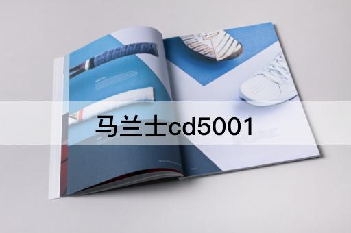 马兰士cd5001
